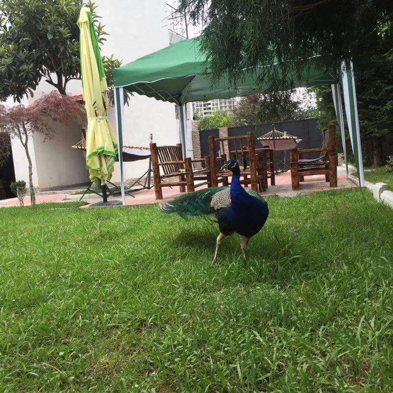 Vacation Home Nukri Гоніо Екстер'єр фото